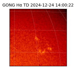 gong - 2024-12-24T14:00:22