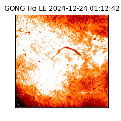 gong - 2024-12-24T01:12:42
