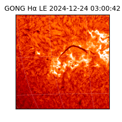 gong - 2024-12-24T03:00:42