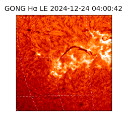 gong - 2024-12-24T04:00:42