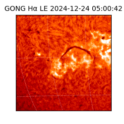 gong - 2024-12-24T05:00:42