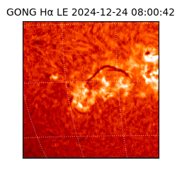 gong - 2024-12-24T08:00:42