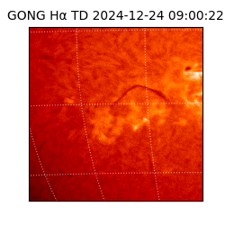 gong - 2024-12-24T09:00:22