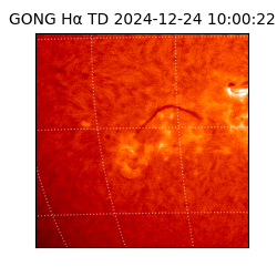 gong - 2024-12-24T10:00:22