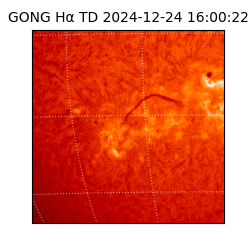 gong - 2024-12-24T16:00:22