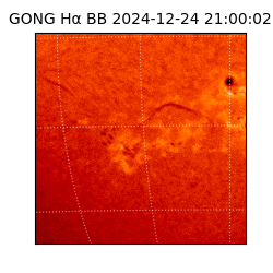 gong - 2024-12-24T21:00:02