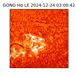 gong - 2024-12-24T03:00:42