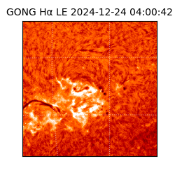 gong - 2024-12-24T04:00:42