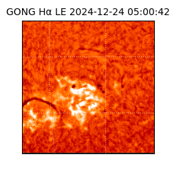 gong - 2024-12-24T05:00:42