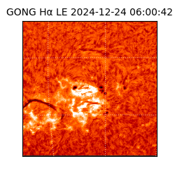 gong - 2024-12-24T06:00:42