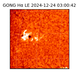 gong - 2024-12-24T03:00:42