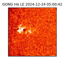gong - 2024-12-24T05:00:42