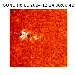 gong - 2024-12-24T08:00:42