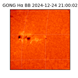 gong - 2024-12-24T21:00:02