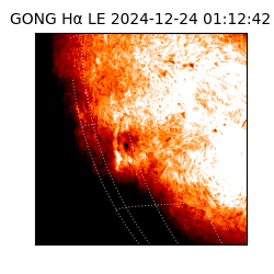 gong - 2024-12-24T01:12:42