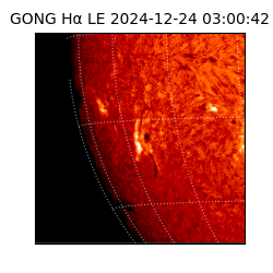 gong - 2024-12-24T03:00:42