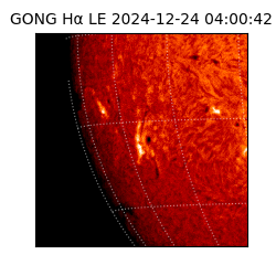 gong - 2024-12-24T04:00:42