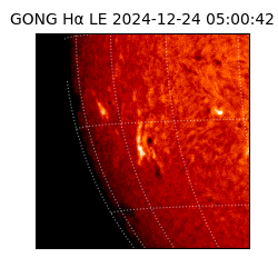 gong - 2024-12-24T05:00:42