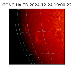 gong - 2024-12-24T10:00:22