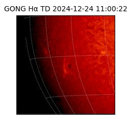 gong - 2024-12-24T11:00:22