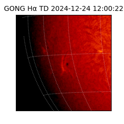 gong - 2024-12-24T12:00:22