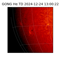 gong - 2024-12-24T13:00:22