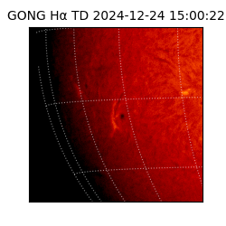 gong - 2024-12-24T15:00:22