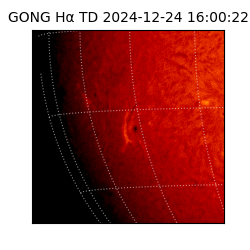 gong - 2024-12-24T16:00:22