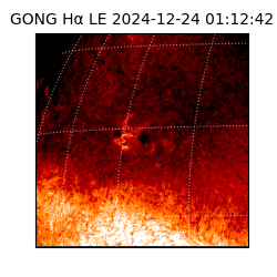 gong - 2024-12-24T01:12:42