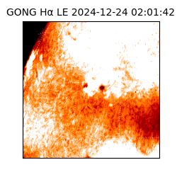 gong - 2024-12-24T02:01:42