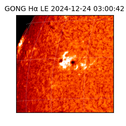 gong - 2024-12-24T03:00:42