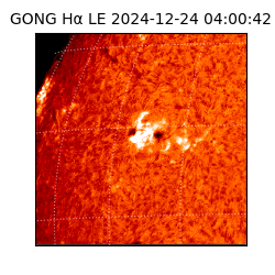 gong - 2024-12-24T04:00:42