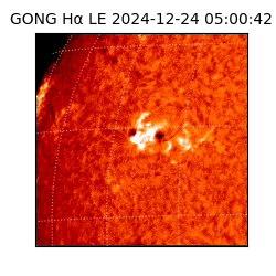 gong - 2024-12-24T05:00:42
