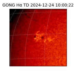gong - 2024-12-24T10:00:22