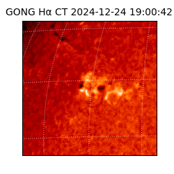 gong - 2024-12-24T19:00:42