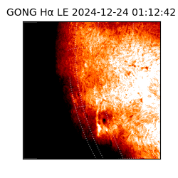 gong - 2024-12-24T01:12:42