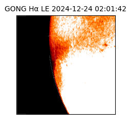gong - 2024-12-24T02:01:42