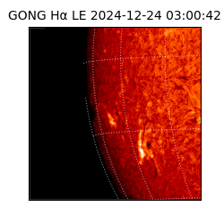 gong - 2024-12-24T03:00:42