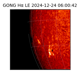 gong - 2024-12-24T06:00:42