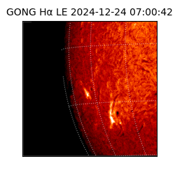 gong - 2024-12-24T07:00:42