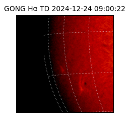 gong - 2024-12-24T09:00:22