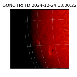 gong - 2024-12-24T13:00:22