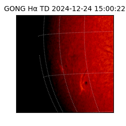 gong - 2024-12-24T15:00:22