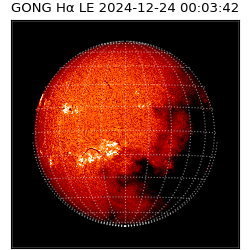 gong - 2024-12-24T00:03:42