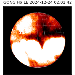 gong - 2024-12-24T02:01:42