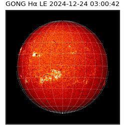 gong - 2024-12-24T03:00:42