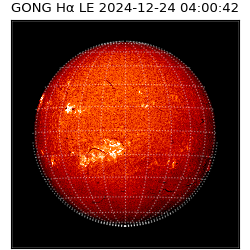 gong - 2024-12-24T04:00:42