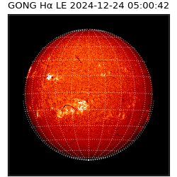 gong - 2024-12-24T05:00:42