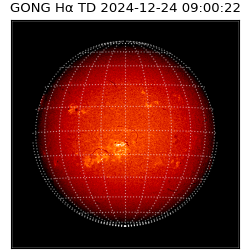 gong - 2024-12-24T09:00:22