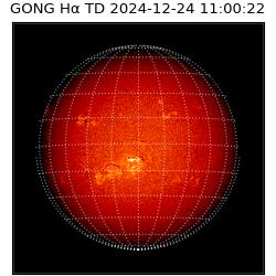 gong - 2024-12-24T11:00:22